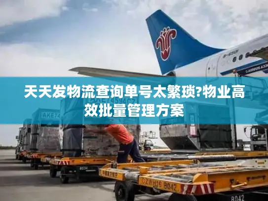天天发物流查询单号太繁琐?物业高效批量管理方案