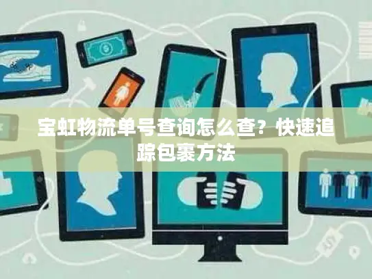 宝虹物流单号查询怎么查？快速追踪包裹方法