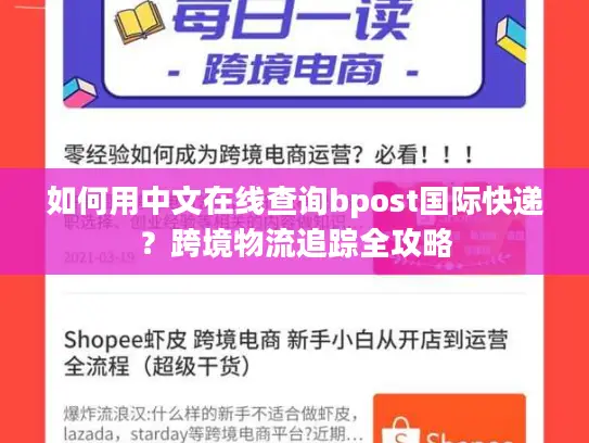 如何用中文在线查询bpost国际快递？跨境物流追踪全攻略
