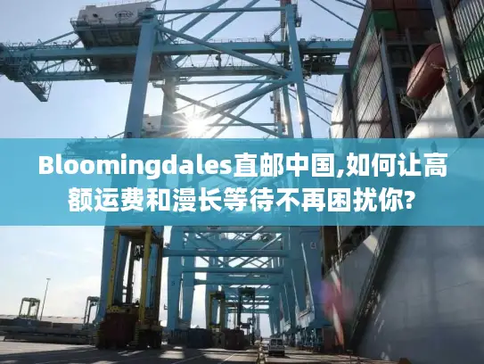 Bloomingdales直邮中国,如何让高额运费和漫长等待不再困扰你?