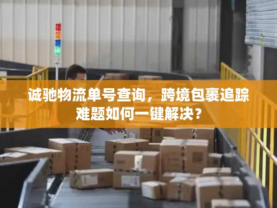 诚驰物流单号查询，跨境包裹追踪难题如何一键解决？