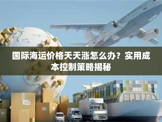 国际海运价格天天涨怎么办？实用成本控制策略揭秘