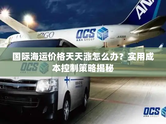 国际海运价格天天涨怎么办？实用成本控制策略揭秘