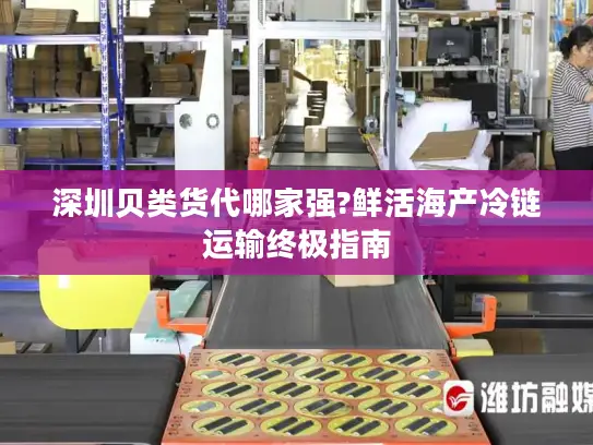 深圳贝类货代哪家强?鲜活海产冷链运输终极指南