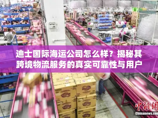 迪士国际海运公司怎么样？揭秘其跨境物流服务的真实可靠性与用户反馈