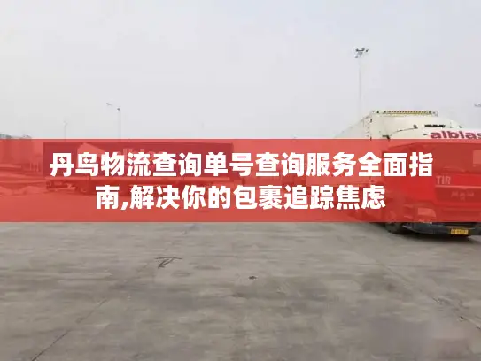 丹鸟物流查询单号查询服务全面指南,解决你的包裹追踪焦虑