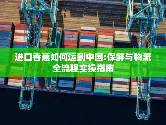 进口香蕉如何运到中国:保鲜与物流全流程实操指南