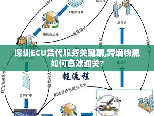 深圳ECU货代服务关键期,跨境物流如何高效通关?