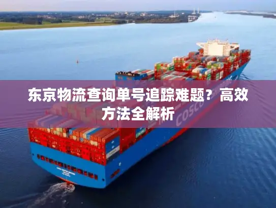 东京物流查询单号追踪难题？高效方法全解析