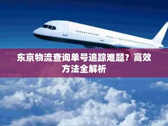 东京物流查询单号追踪难题？高效方法全解析
