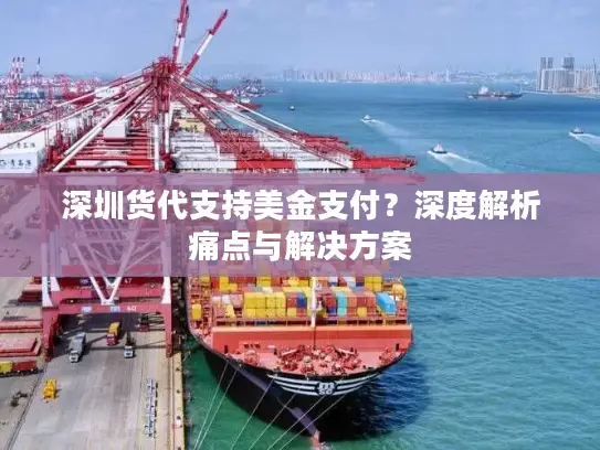 深圳货代支持美金支付？深度解析痛点与解决方案