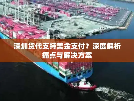 深圳货代支持美金支付？深度解析痛点与解决方案