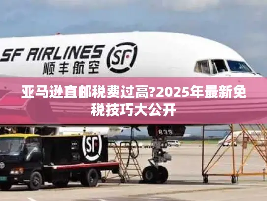 亚马逊直邮税费过高?2025年最新免税技巧大公开