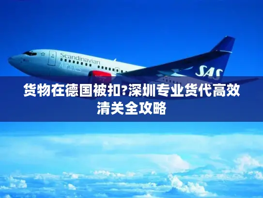 货物在德国被扣?深圳专业货代高效清关全攻略