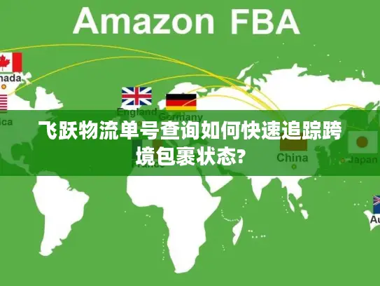 飞跃物流单号查询如何快速追踪跨境包裹状态?
