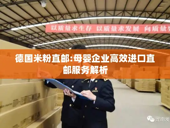 德国米粉直邮:母婴企业高效进口直邮服务解析