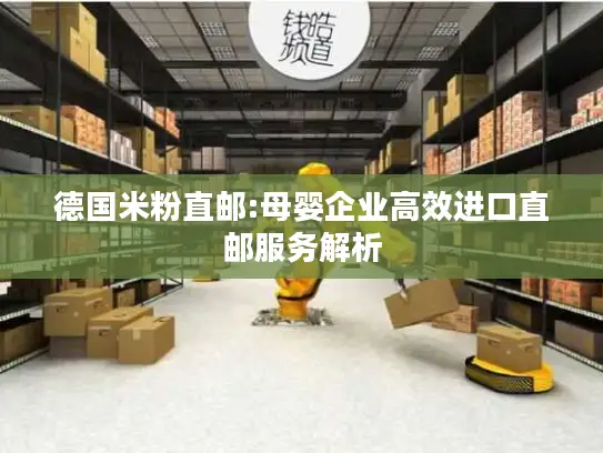 德国米粉直邮:母婴企业高效进口直邮服务解析
