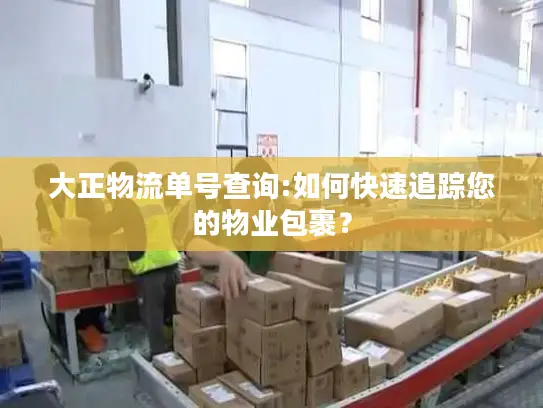 大正物流单号查询:如何快速追踪您的物业包裹？