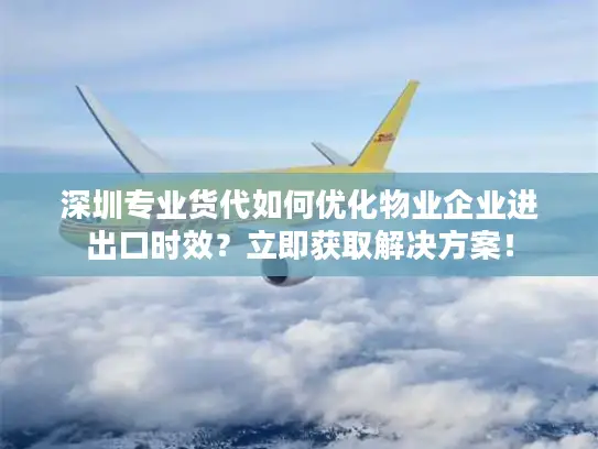 深圳专业货代如何优化物业企业进出口时效？立即获取解决方案！