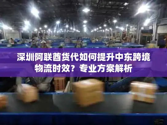 深圳阿联酋货代如何提升中东跨境物流时效？专业方案解析