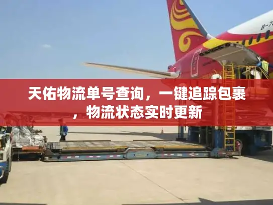 天佑物流单号查询，一键追踪包裹，物流状态实时更新