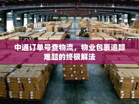中通订单号查物流，物业包裹追踪难题的终极解法