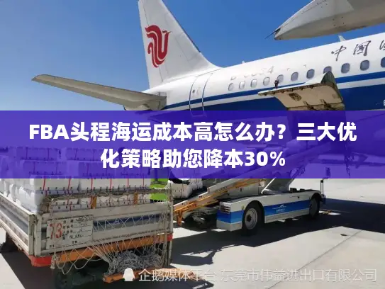 FBA头程海运成本高怎么办？三大优化策略助您降本30%