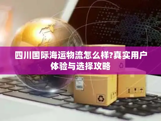 四川国际海运物流怎么样?真实用户体验与选择攻略