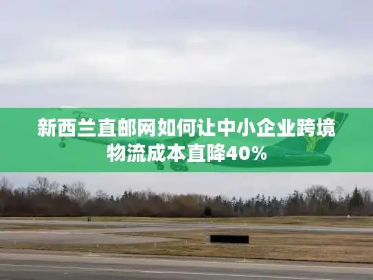 新西兰直邮网如何让中小企业跨境物流成本直降40%