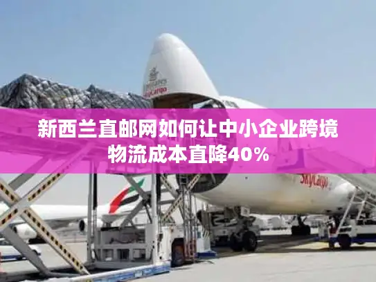 新西兰直邮网如何让中小企业跨境物流成本直降40%