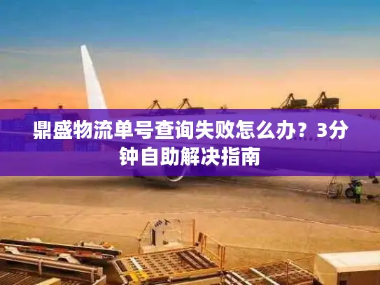鼎盛物流单号查询失败怎么办？3分钟自助解决指南