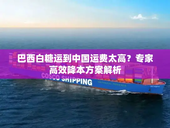 巴西白糖运到中国运费太高？专家高效降本方案解析