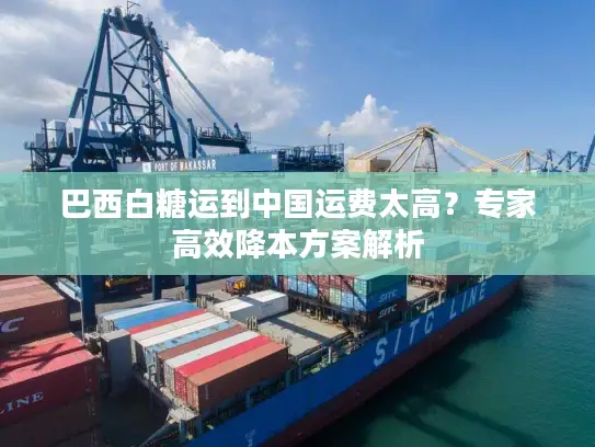 巴西白糖运到中国运费太高？专家高效降本方案解析