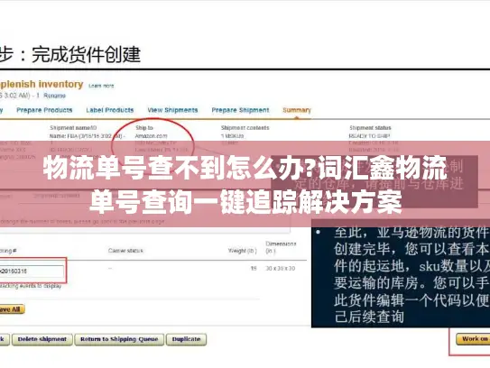 物流单号查不到怎么办?词汇鑫物流单号查询一键追踪解决方案