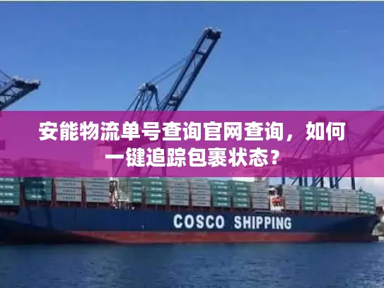 安能物流单号查询官网查询，如何一键追踪包裹状态？