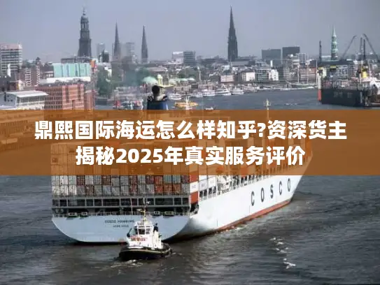 鼎熙国际海运怎么样知乎?资深货主揭秘2025年真实服务评价