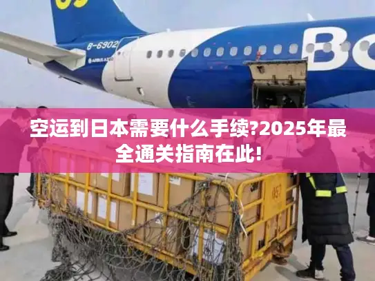 空运到日本需要什么手续?2025年最全通关指南在此!