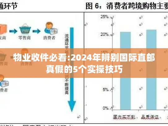 物业收件必看:2024年辨别国际直邮真假的5个实操技巧