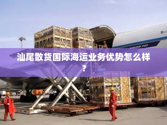 汕尾散货国际海运业务优势怎么样？