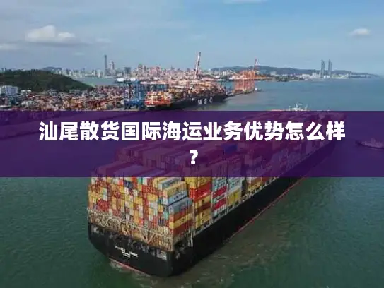 汕尾散货国际海运业务优势怎么样？