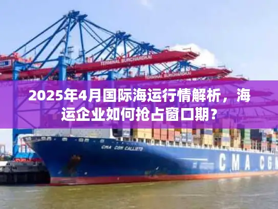 2025年4月国际海运行情解析，海运企业如何抢占窗口期？