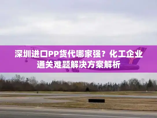深圳进口PP货代哪家强？化工企业通关难题解决方案解析