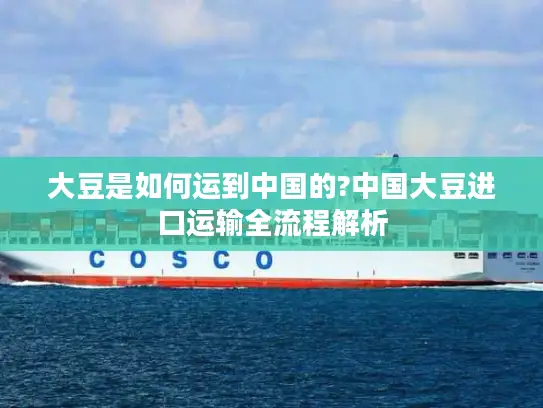 大豆是如何运到中国的?中国大豆进口运输全流程解析