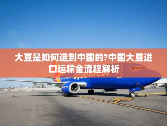 大豆是如何运到中国的?中国大豆进口运输全流程解析