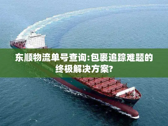 东顺物流单号查询:包裹追踪难题的终极解决方案?