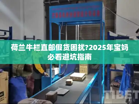 荷兰牛栏直邮假货困扰?2025年宝妈必看避坑指南