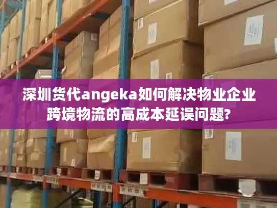 深圳货代angeka如何解决物业企业跨境物流的高成本延误问题?