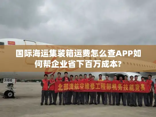 国际海运集装箱运费怎么查APP如何帮企业省下百万成本?