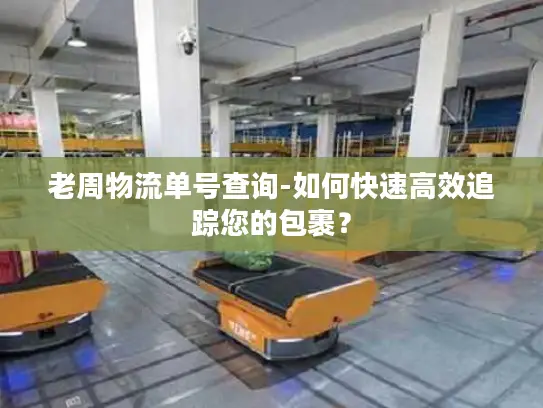 老周物流单号查询-如何快速高效追踪您的包裹？