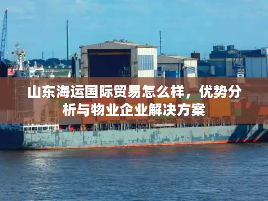 山东海运国际贸易怎么样，优势分析与物业企业解决方案